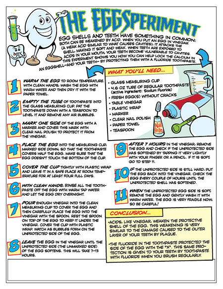 EggSperiment Activity Sheet - Pediatric Dentist in Madison, MS